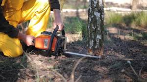 Best Weed Control  in Groveland, ID