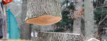 Best Commercial Tree Services  in Groveland, ID